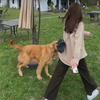 外人们
