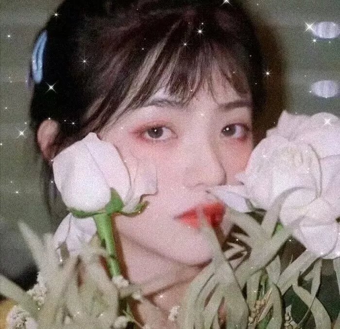 何以笙箫默